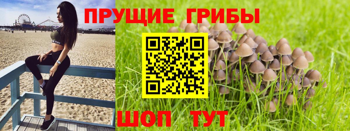 Галлюциногенные грибы мухоморы  Вход с VPN  Минусинск  купить   Псилоцибиновые грибы мухоморы 